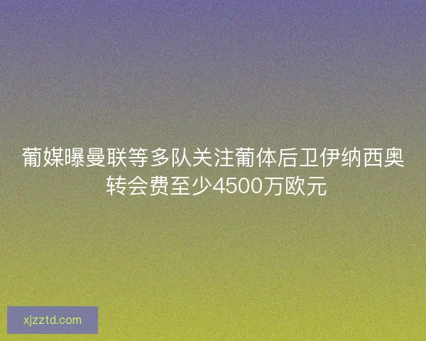 葡媒曝曼联等多队关注葡体后卫伊纳西奥 转会费至少4500万欧元